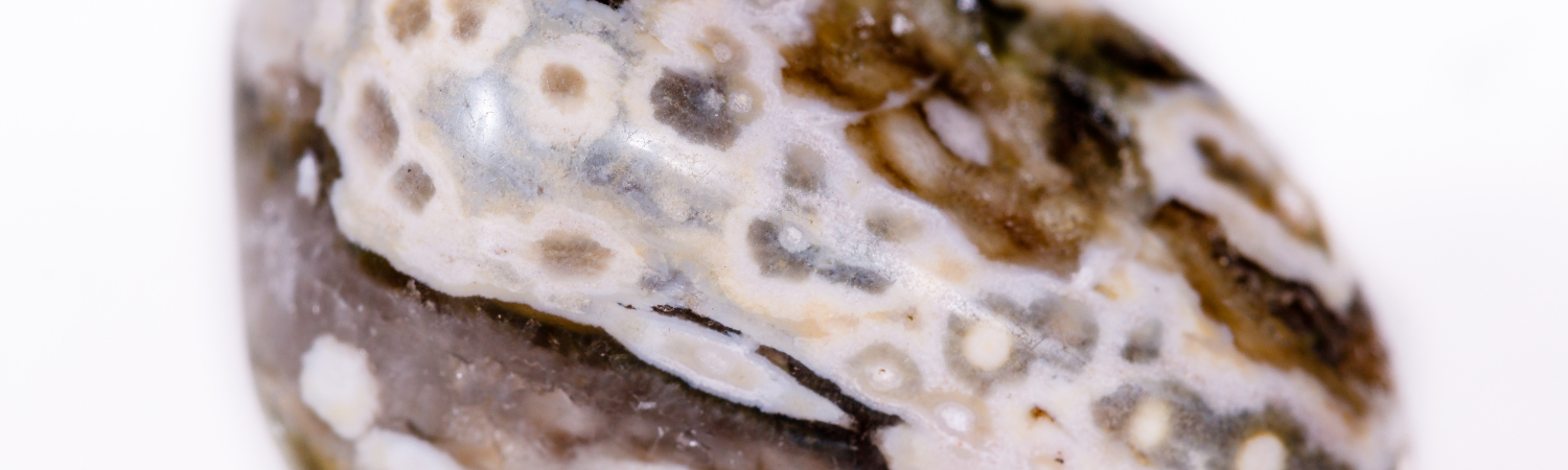 Agate Fossile : Vertus, Utilisation, Purification et Lien Astrologique