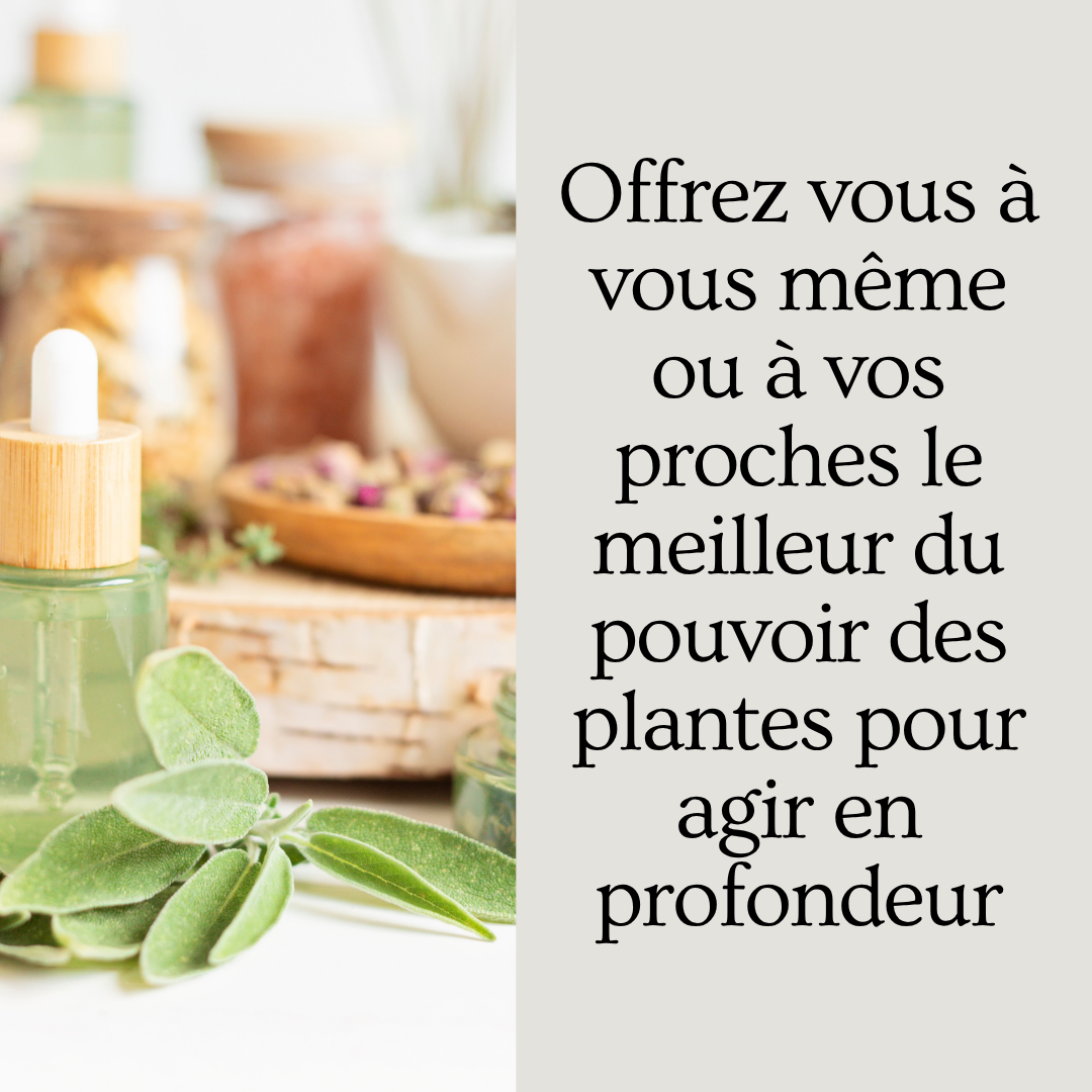 Natural herbal essence dropper bottle with fresh leaves and dried botanicals, promoting plant power in wellness