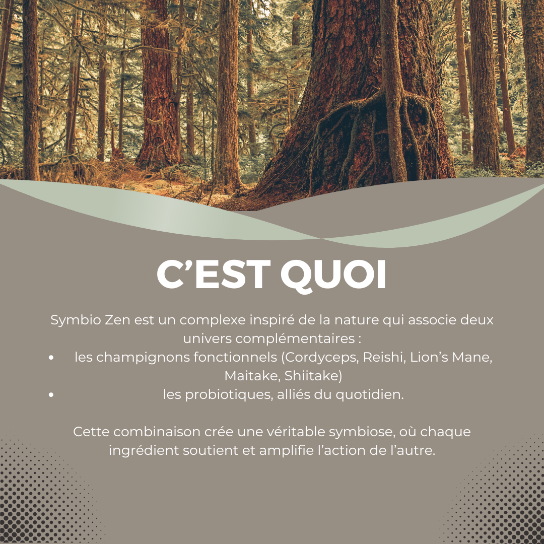 Symbio Zen – L’équilibre intérieur nouvelle génération à base de champignons