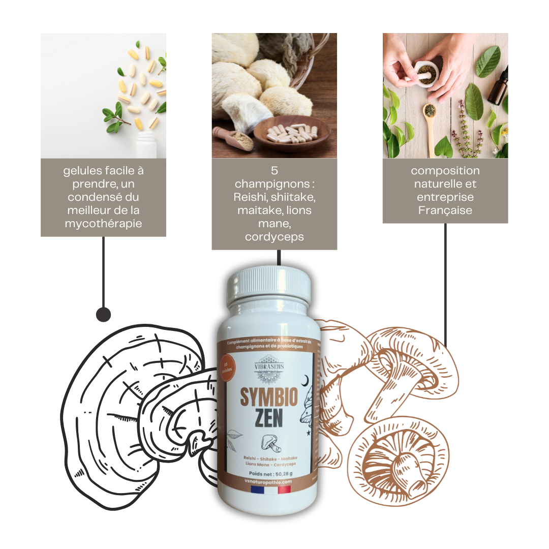 Symbio Zen – L’équilibre intérieur nouvelle génération à base de champignons