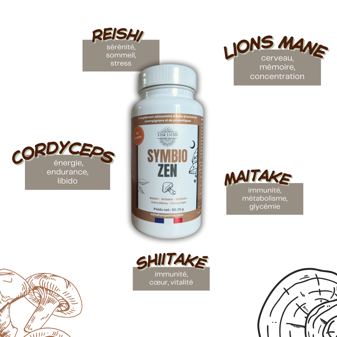 Symbio Zen – L’équilibre intérieur nouvelle génération à base de champignons