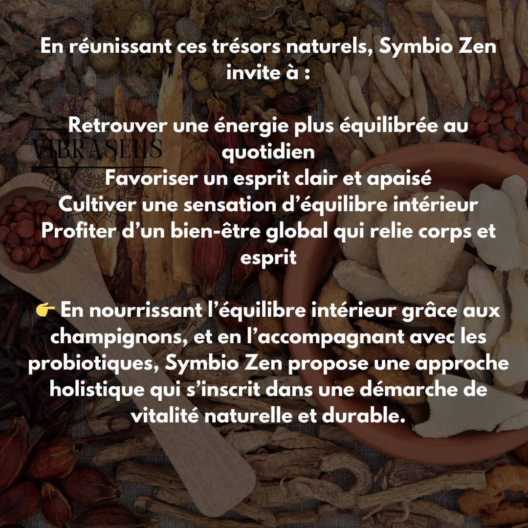 Symbio Zen – L’équilibre intérieur nouvelle génération à base de champignons