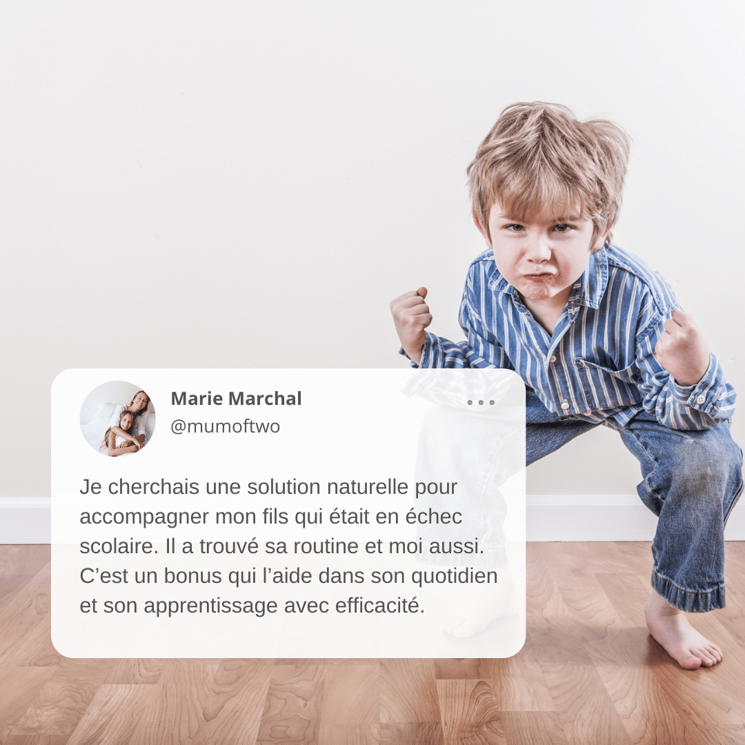Focus et Calme - TDAH | Concentration et gestion des émotions - Vibrasens Naturopathie