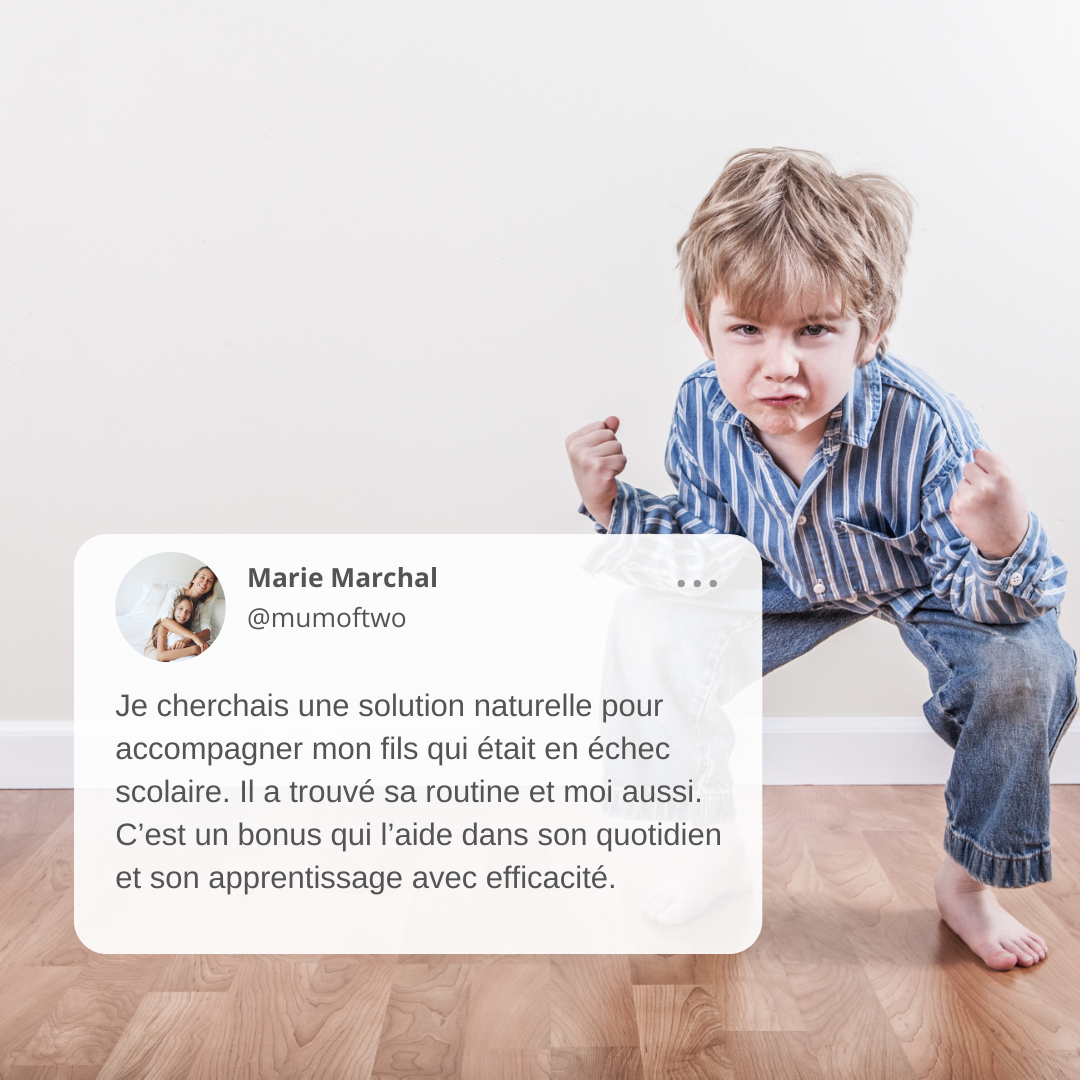 Focus et Calme - TDAH - Mélange de Fleurs de Bach | Élixir floral naturel