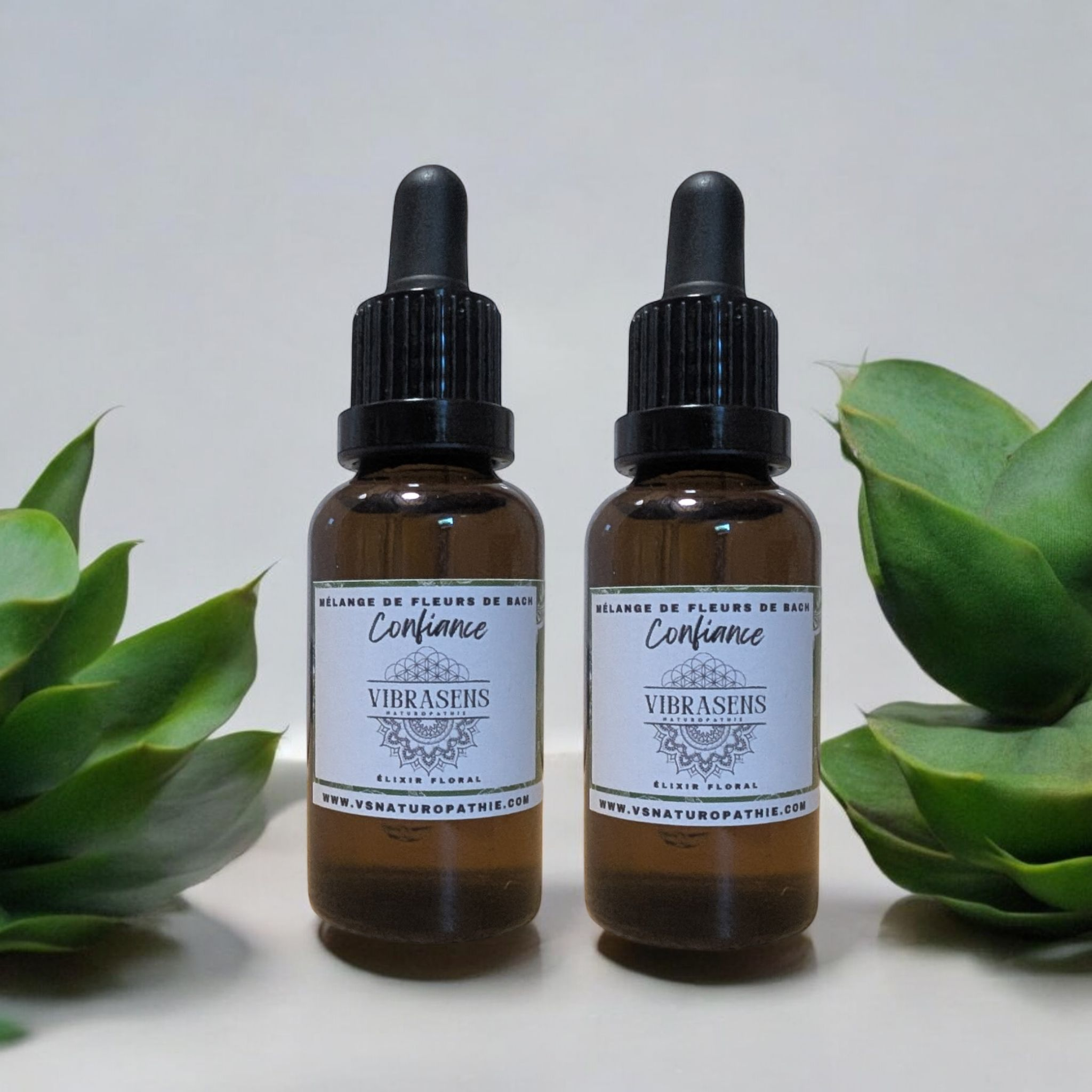 CONFIANCE – Mélange de Fleurs de Bach (30 ml)
