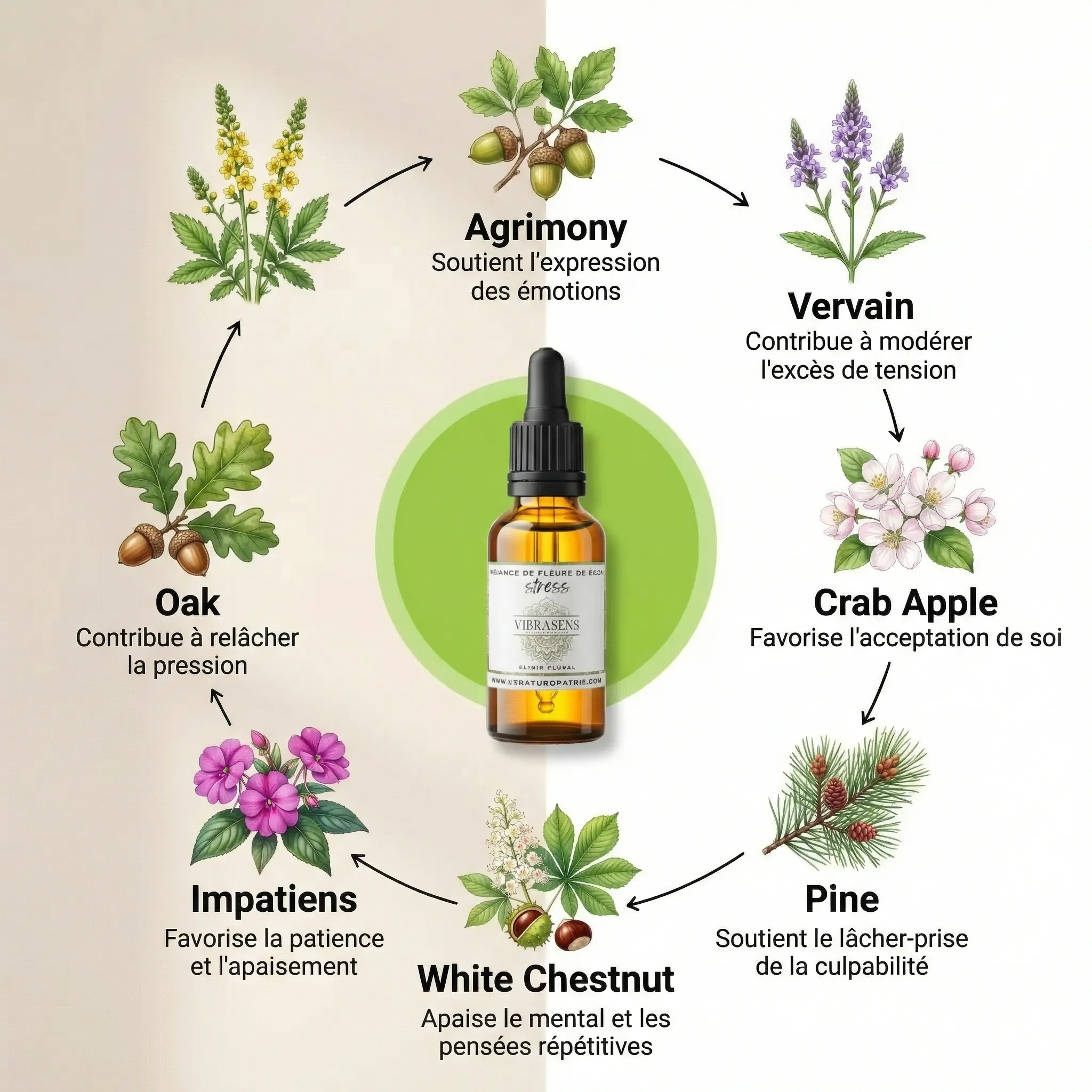 ANTI STRESS – Mélange de Fleurs de Bach 30 ml | Vu sur Tiktok