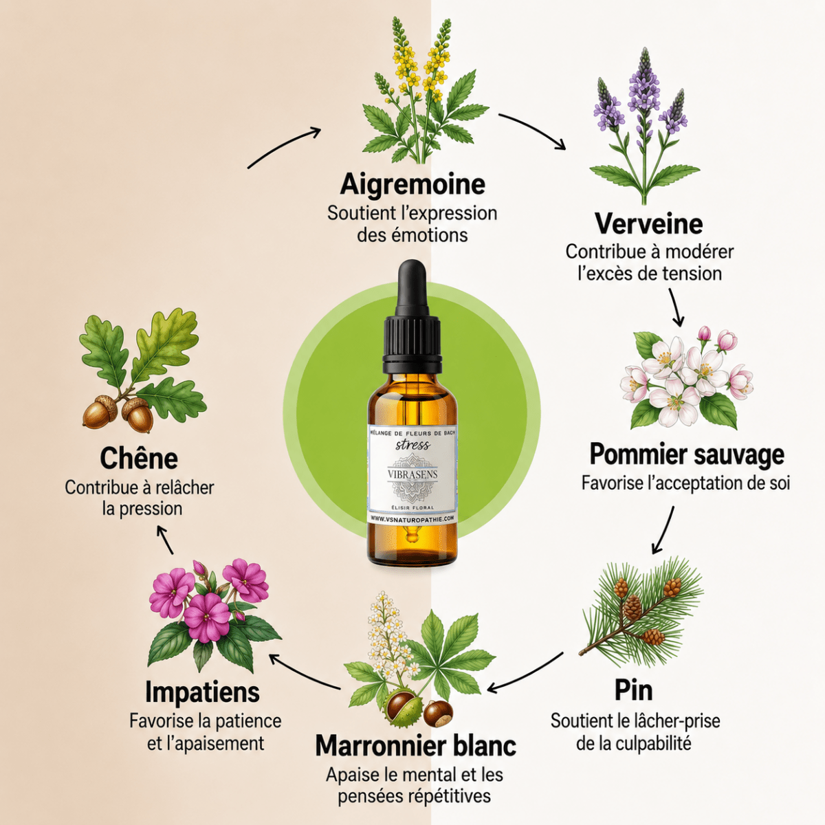 ANTI STRESS | Calme et sérénité au quotidien - Vibrasens Naturopathie