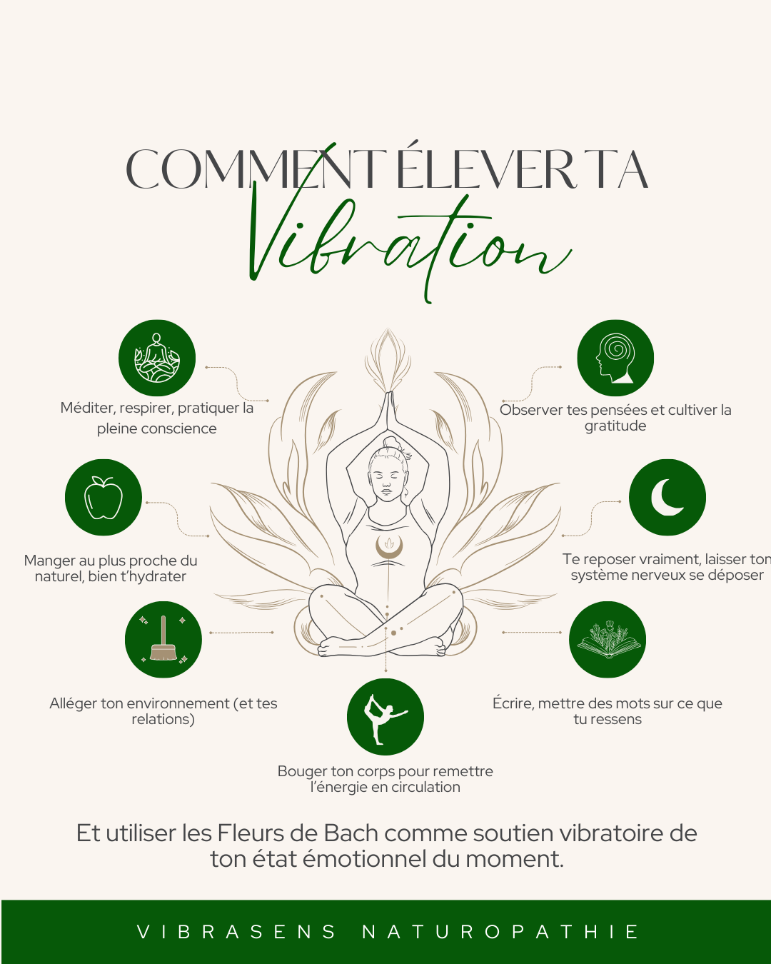 Comment élever ta vibration grâce aux fleurs de Bach