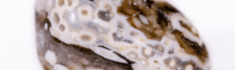Agate fossile : la pierre d'abondance, de l'ancrage et des peurs anciennes - Vibrasens Naturopathie