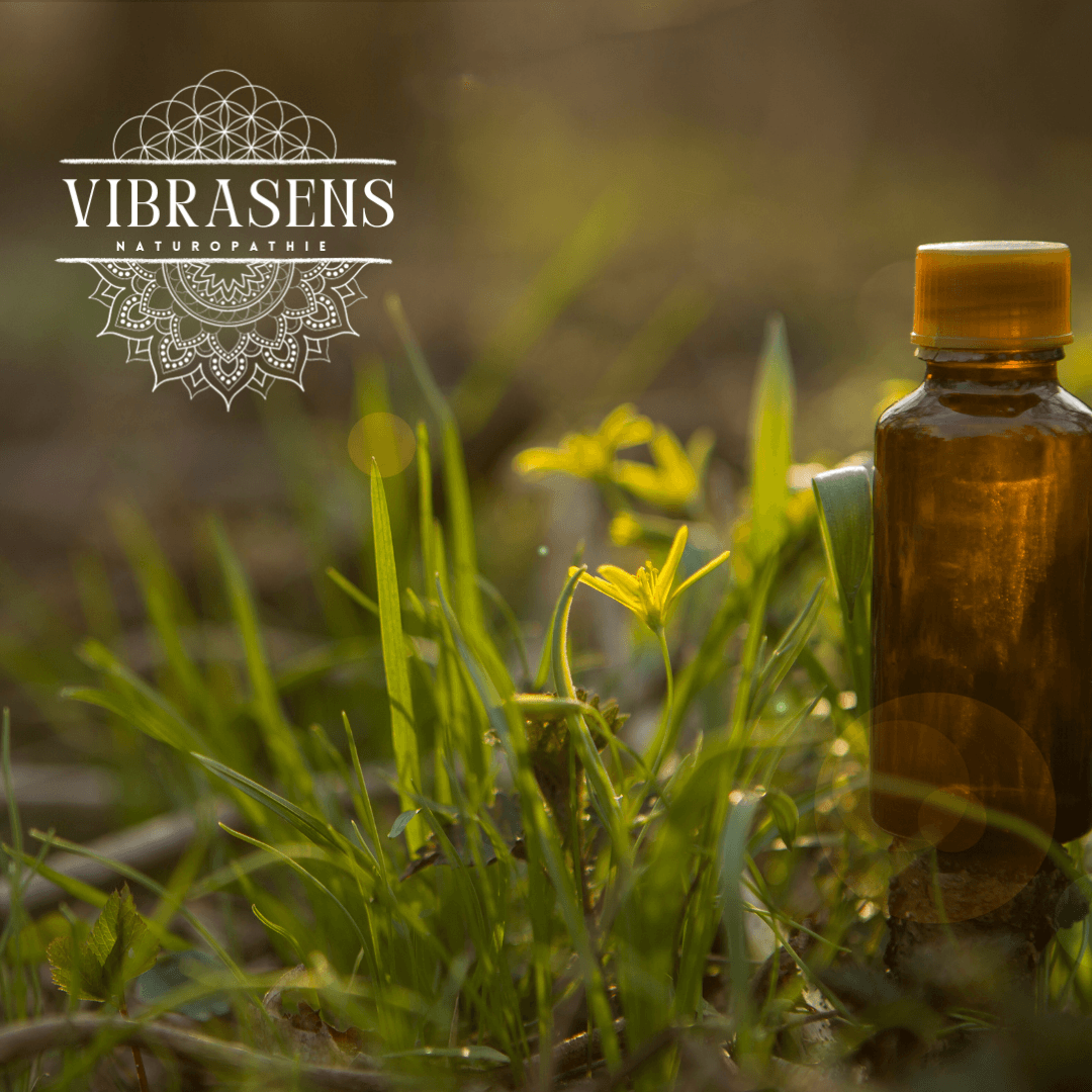Comment Gérer la Dépression Saisonnière en Hiver avec les Fleurs de Bach - Vibrasens Naturopathie