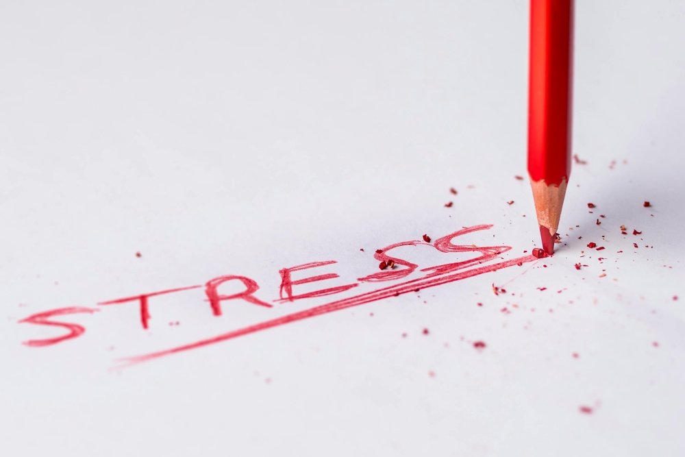 Stress et perte de poids : pourquoi ton corps refuse de lâcher - Vibrasens Naturopathie