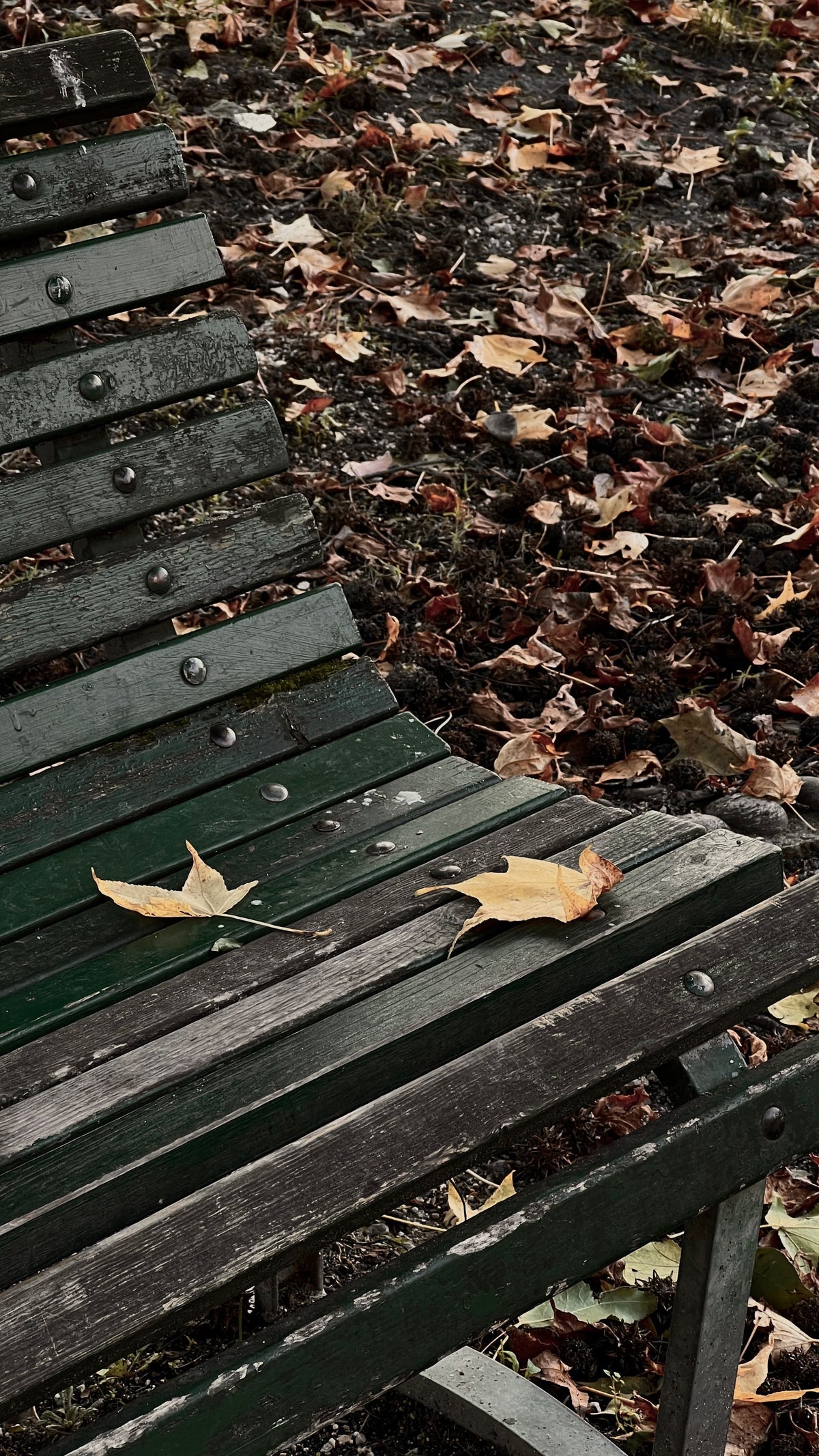 dépression estivale automne et tristesse