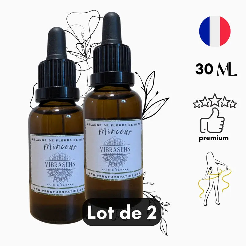 MINCEUR X2