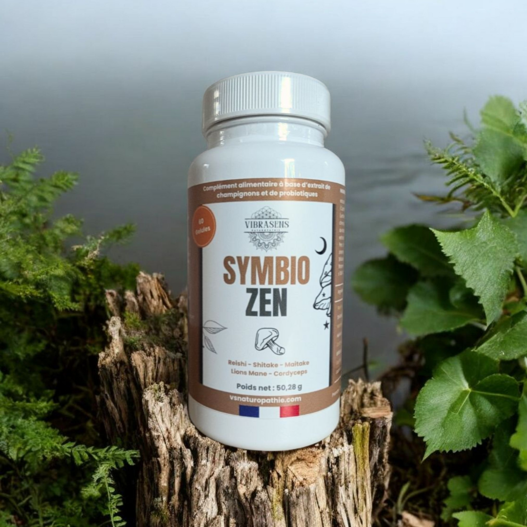 Symbio Zen – L’équilibre intérieur nouvelle génération à base de champignons