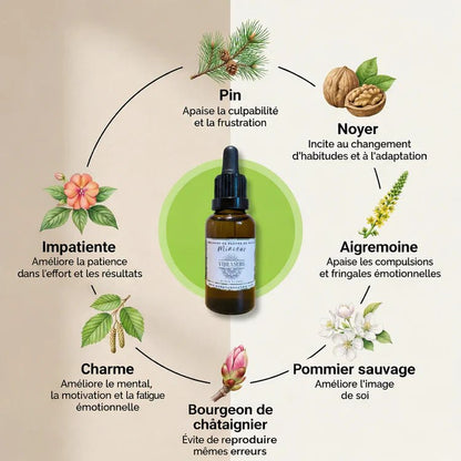 MINCEUR | Fringales émotionnelles - perte de poids durable | Fleurs de Bach - Vibrasens Naturopathie