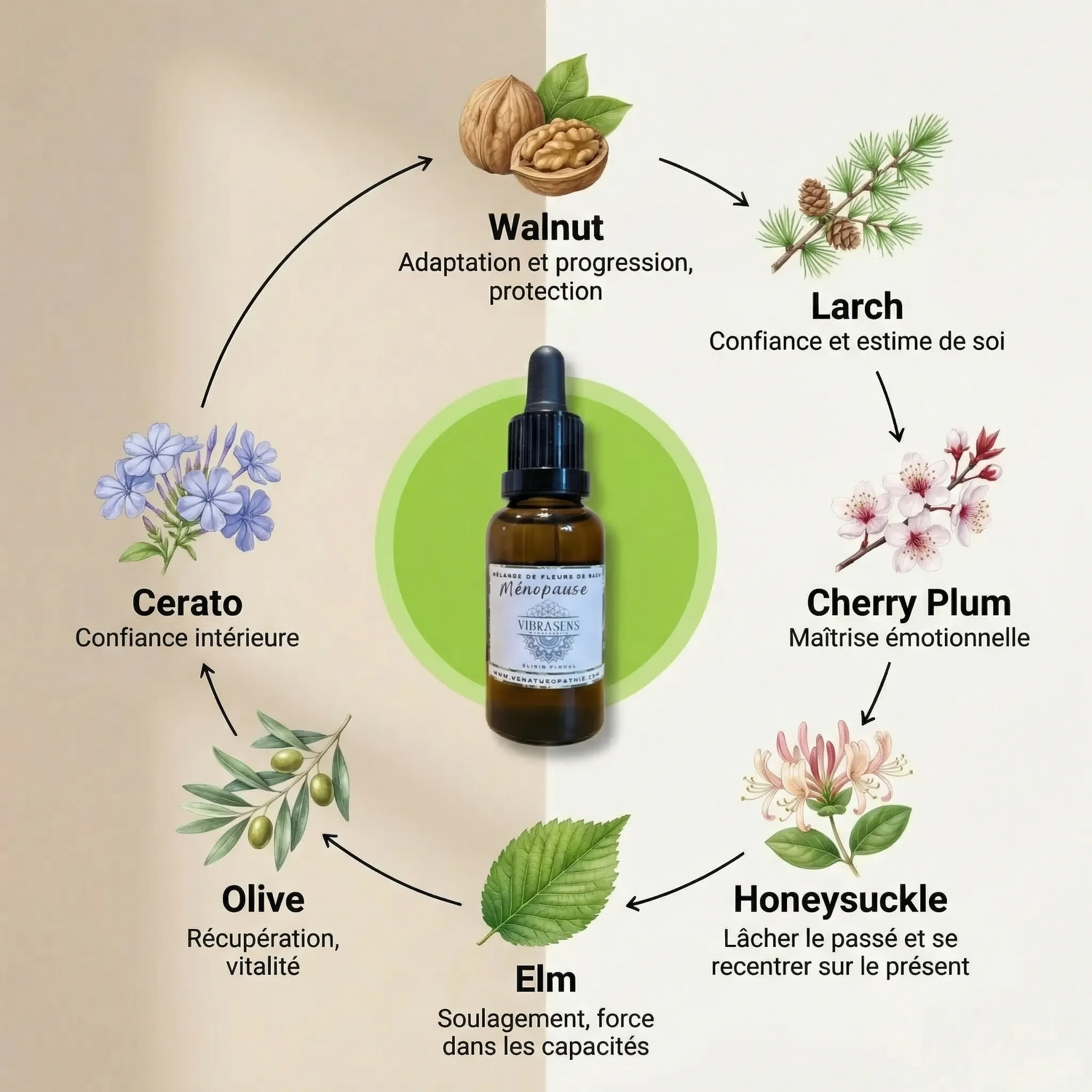 MENOPAUSE - Mélange de Fleurs de Bach | Émotions apaisées &amp; équilibre hormonal naturel