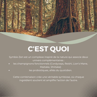 Symbio Zen – L’équilibre intérieur nouvelle génération à base de champignons