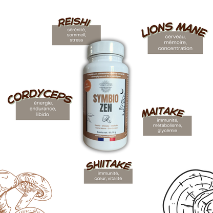 Symbio Zen – L’équilibre intérieur nouvelle génération à base de champignons