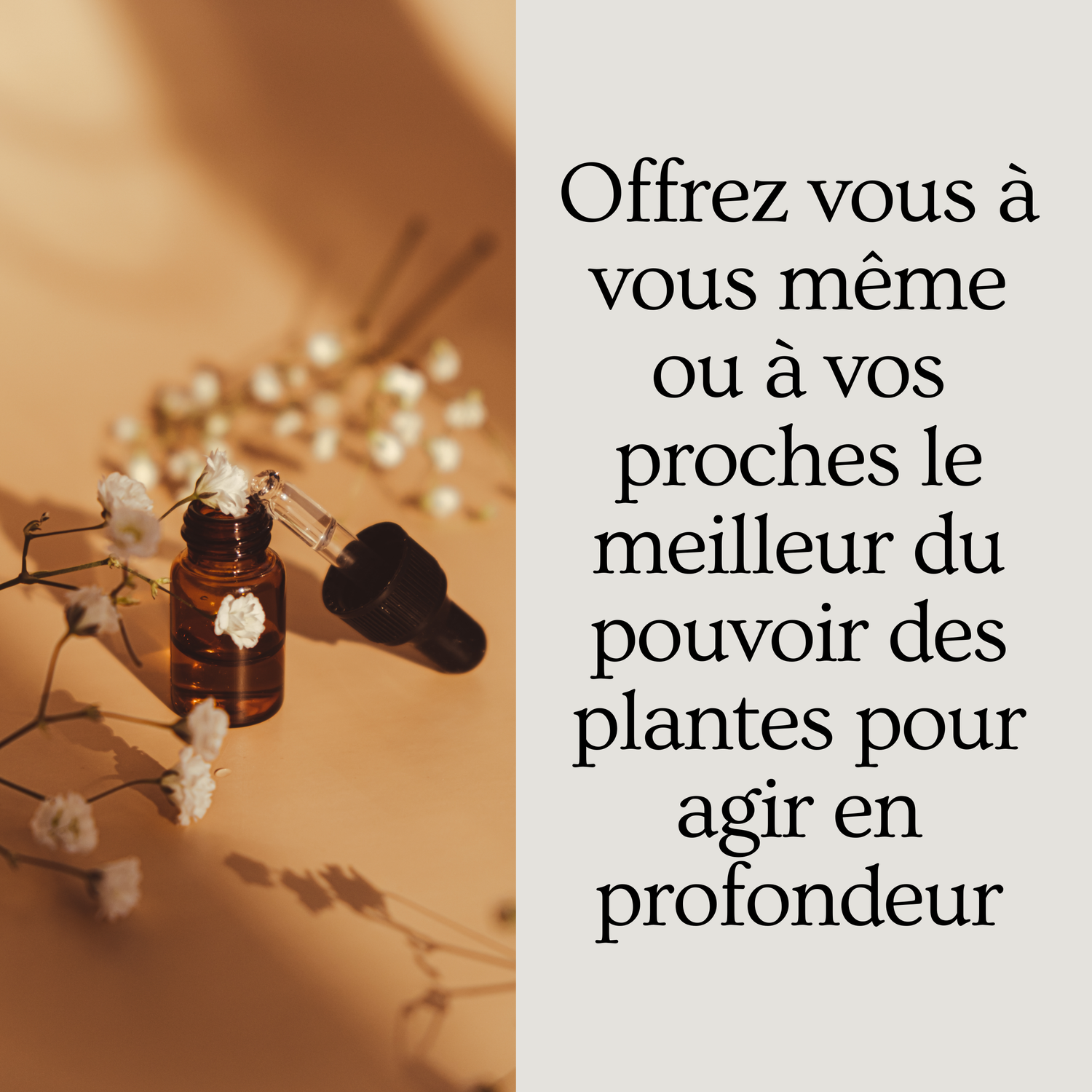 MENOPAUSE - Mélange de Fleurs de Bach | Émotions apaisées &amp; équilibre hormonal naturel