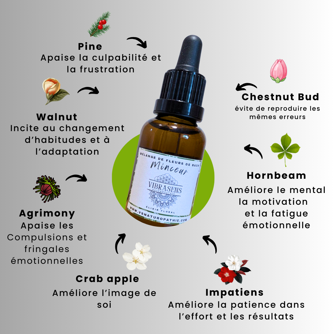 MINCEUR - Synergie Fleurs de Bach | Fringales émotionnelles