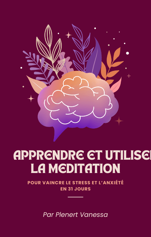Apprendre et utiliser la méditation pour vaincre le stress et l'anxiété en 31 jours - Vibrasens Naturopathie