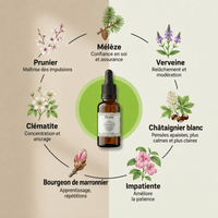 Focus et Calme - TDAH | Concentration et gestion des émotions - Vibrasens Naturopathie