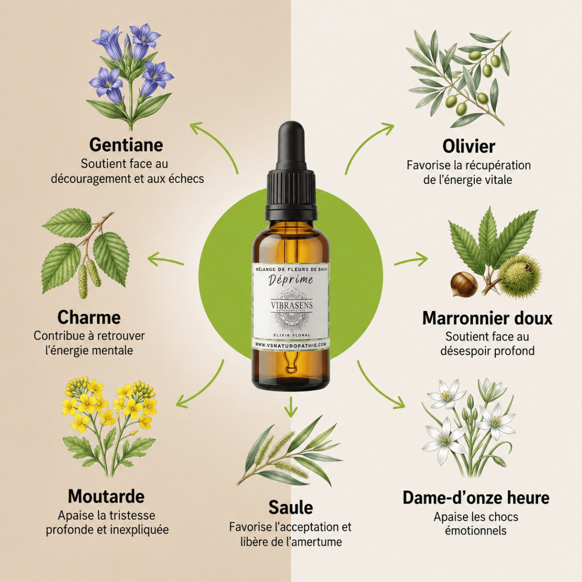 PEURS-ANXIETE | Apaisement émotionnel et sécurité intérieure - Vibrasens Naturopathie