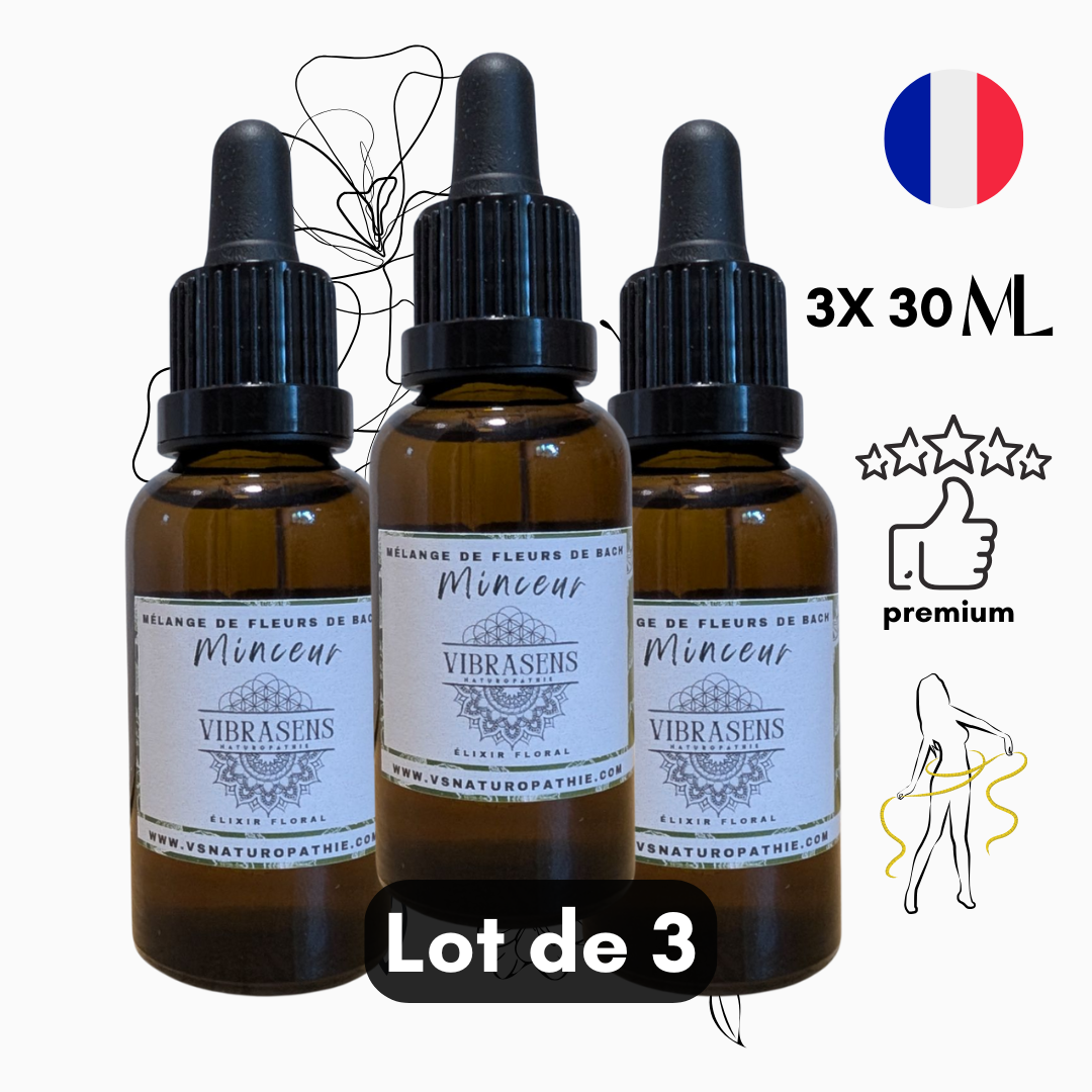 MINCEUR X3
