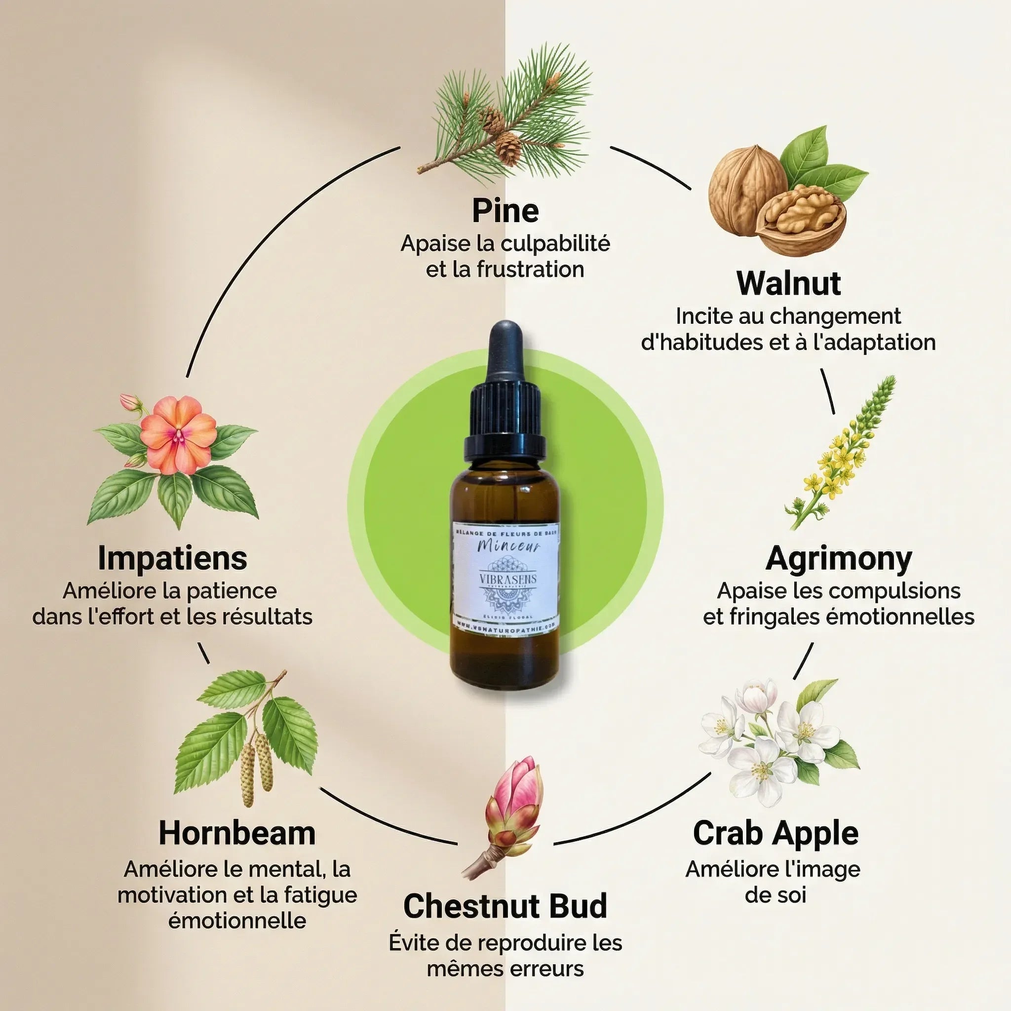 MINCEUR lot de 2 - Vibrasens Naturopathie