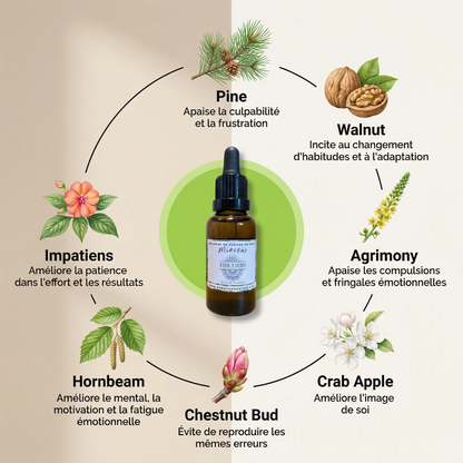 MINCEUR - Synergie Fleurs de Bach | Fringales émotionnelles