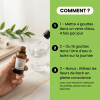 Pack résultats Minceur | Rituel anti fringales en 6 semaines et transformation durable - Vibrasens Naturopathie