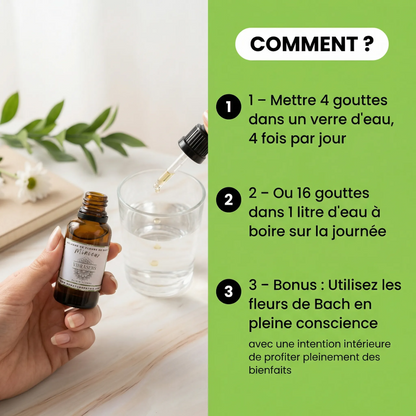 MINCEUR - Synergie Fleurs de Bach | Fringales émotionnelles
