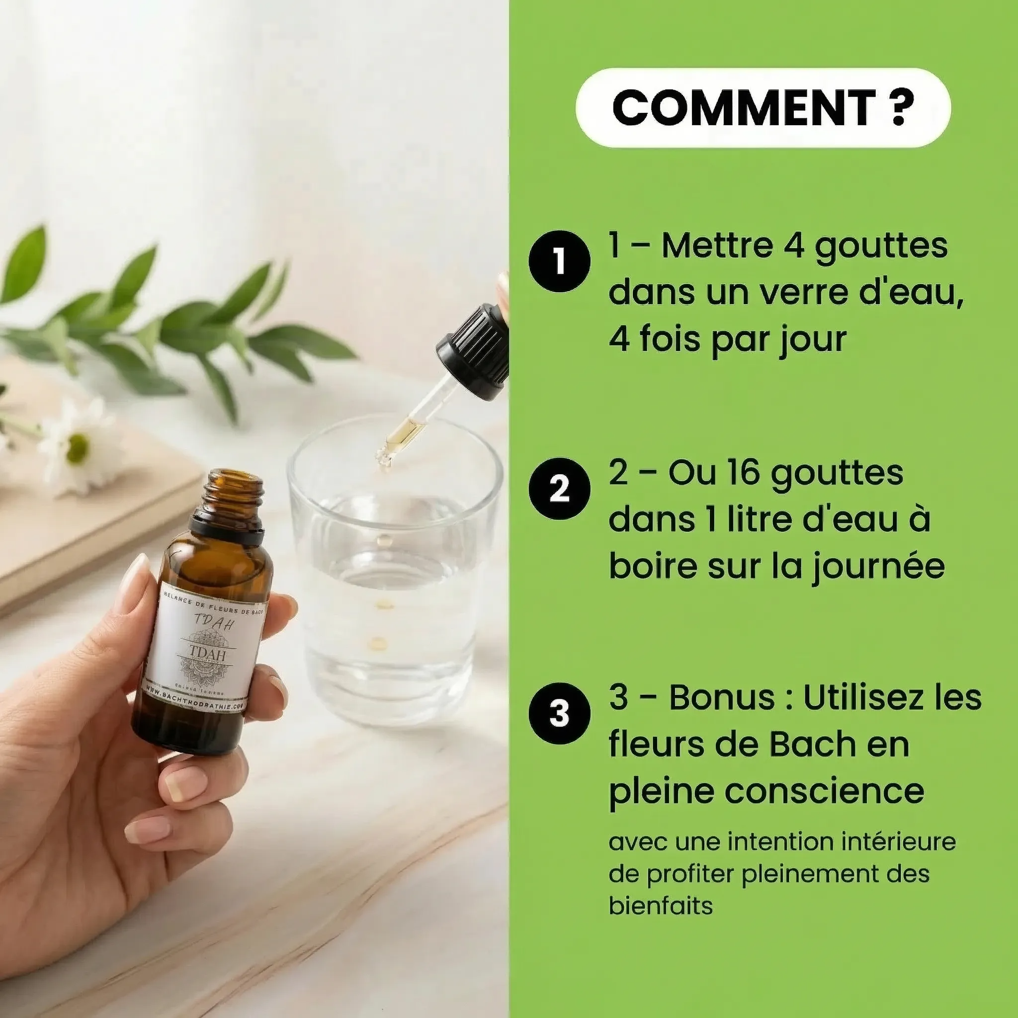 Focus et Calme - TDAH - Mélange de Fleurs de Bach | Élixir floral naturel