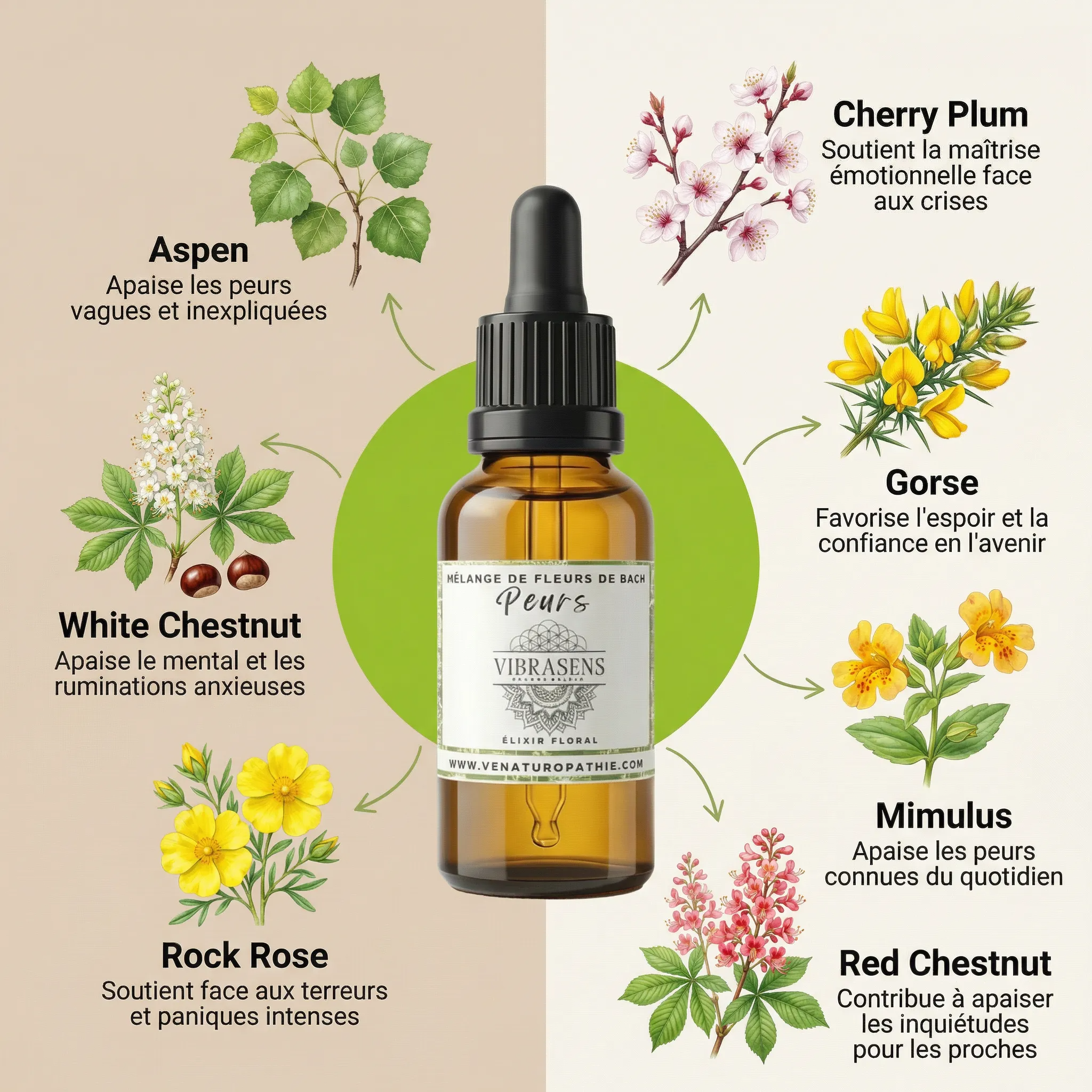 PEURS-ANXIETE - Mélange de Fleurs de Bach | Apaisement émotionnel et sécurité intérieure