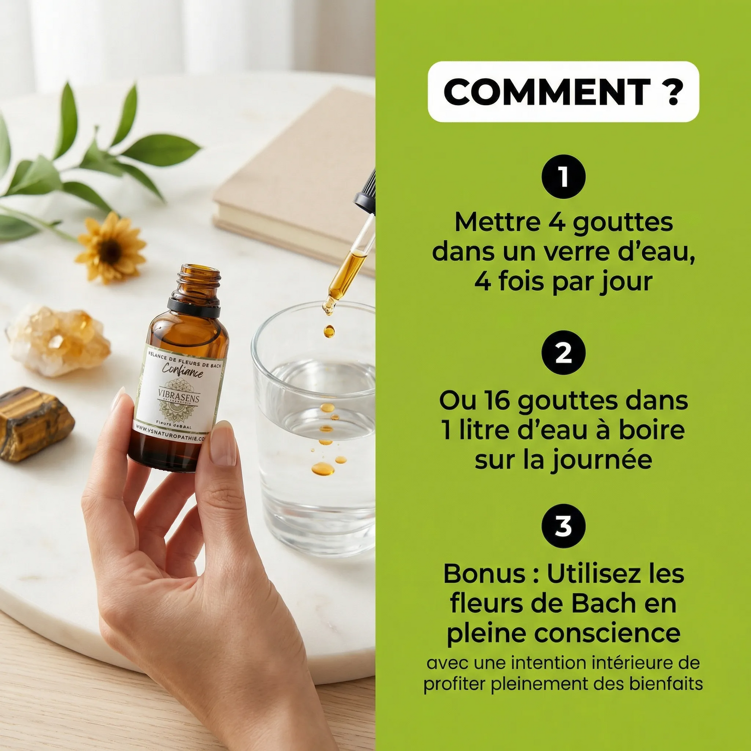 CONFIANCE – Mélange de Fleurs de Bach | Trac, timidité, retrait de son potentiel