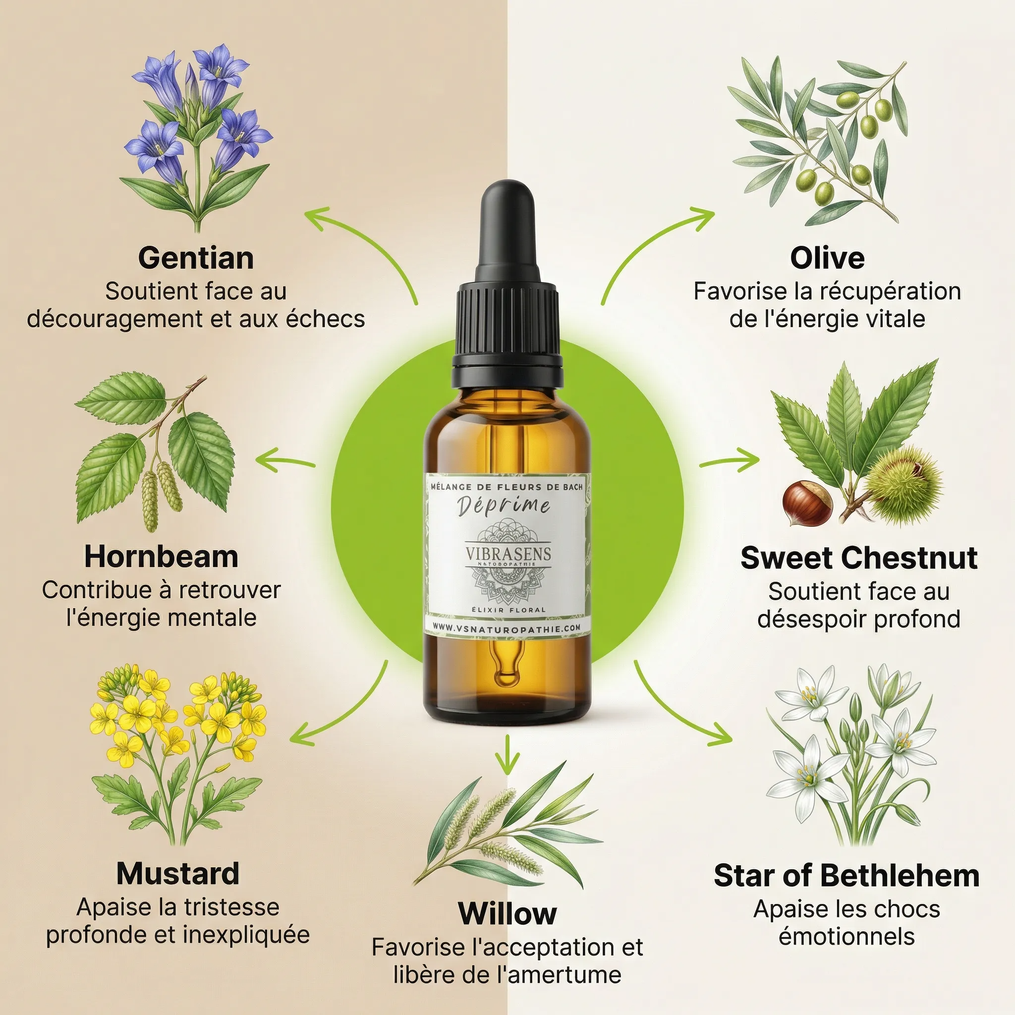 DEPRIME - Mélange de fleurs de Bach | Elan et lumière intérieure