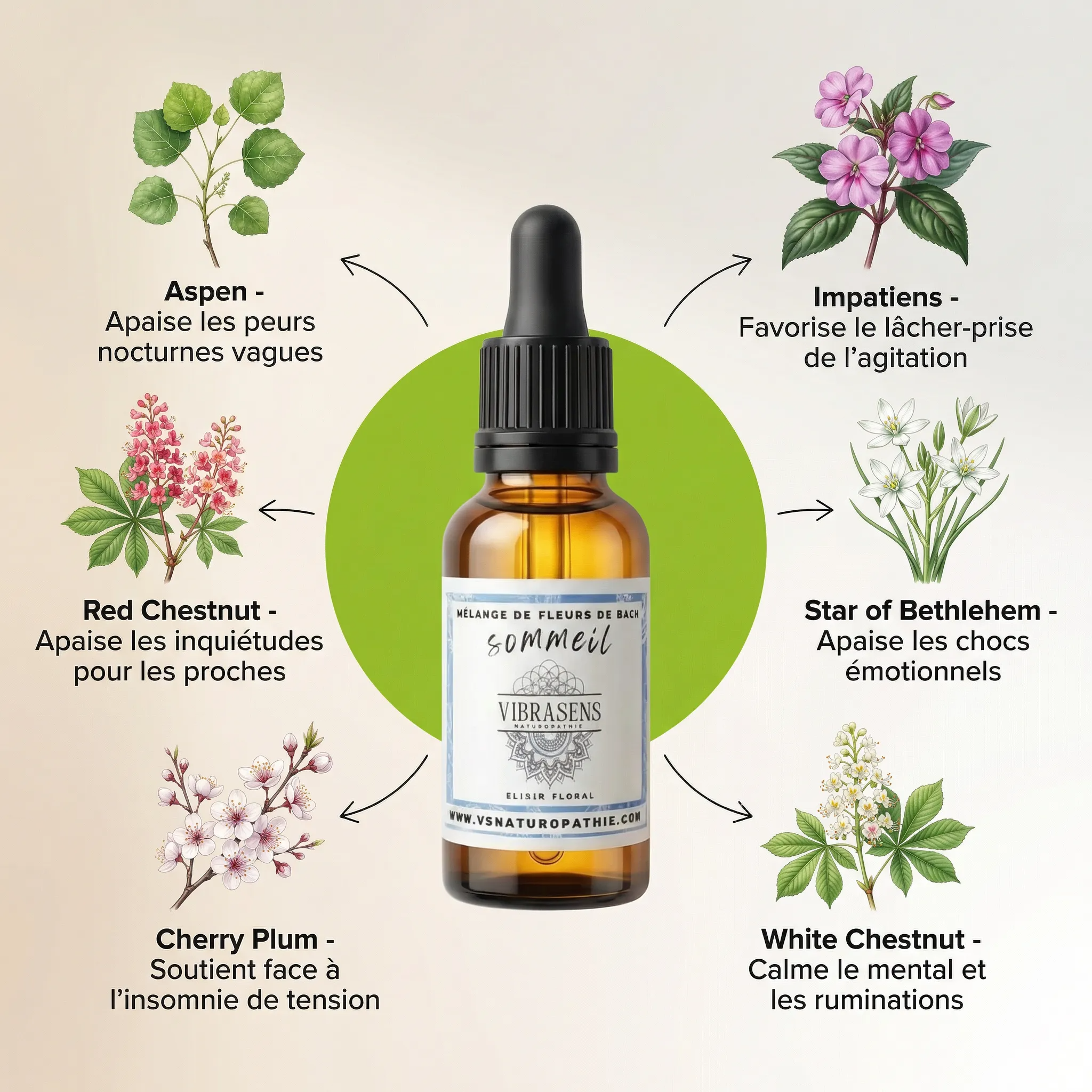 SOMMEIL - Mélange de fleurs de Bach | lâcher prise
