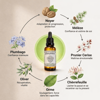 MENOPAUSE | Equilibre du féminin - Vibrasens Naturopathie