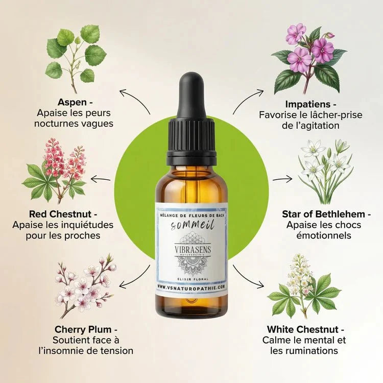 Pack Découverte Focus — TDAH &amp; Sommeil